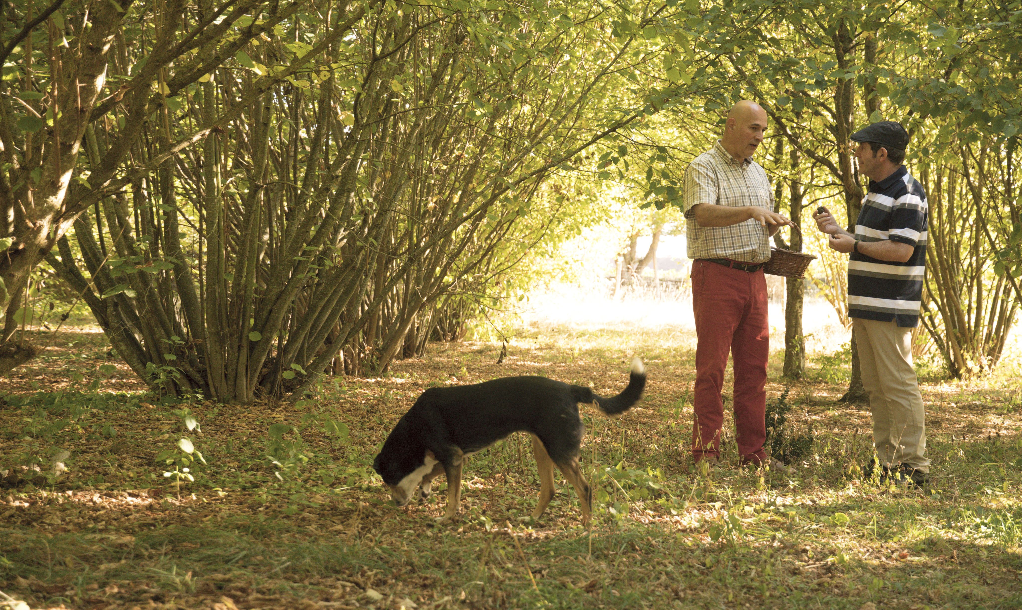 Two men with a truffle hunting dog in France