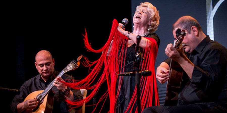 Fado onboard the Viking River cruise experience