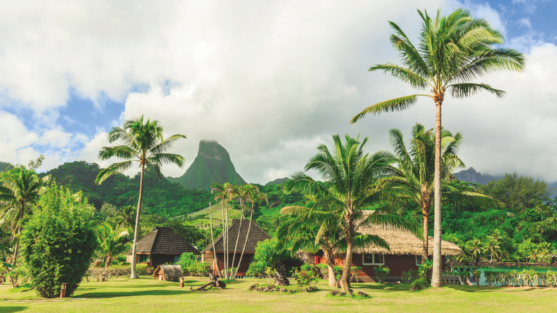 Tahiti with mountain and palm trees in the background