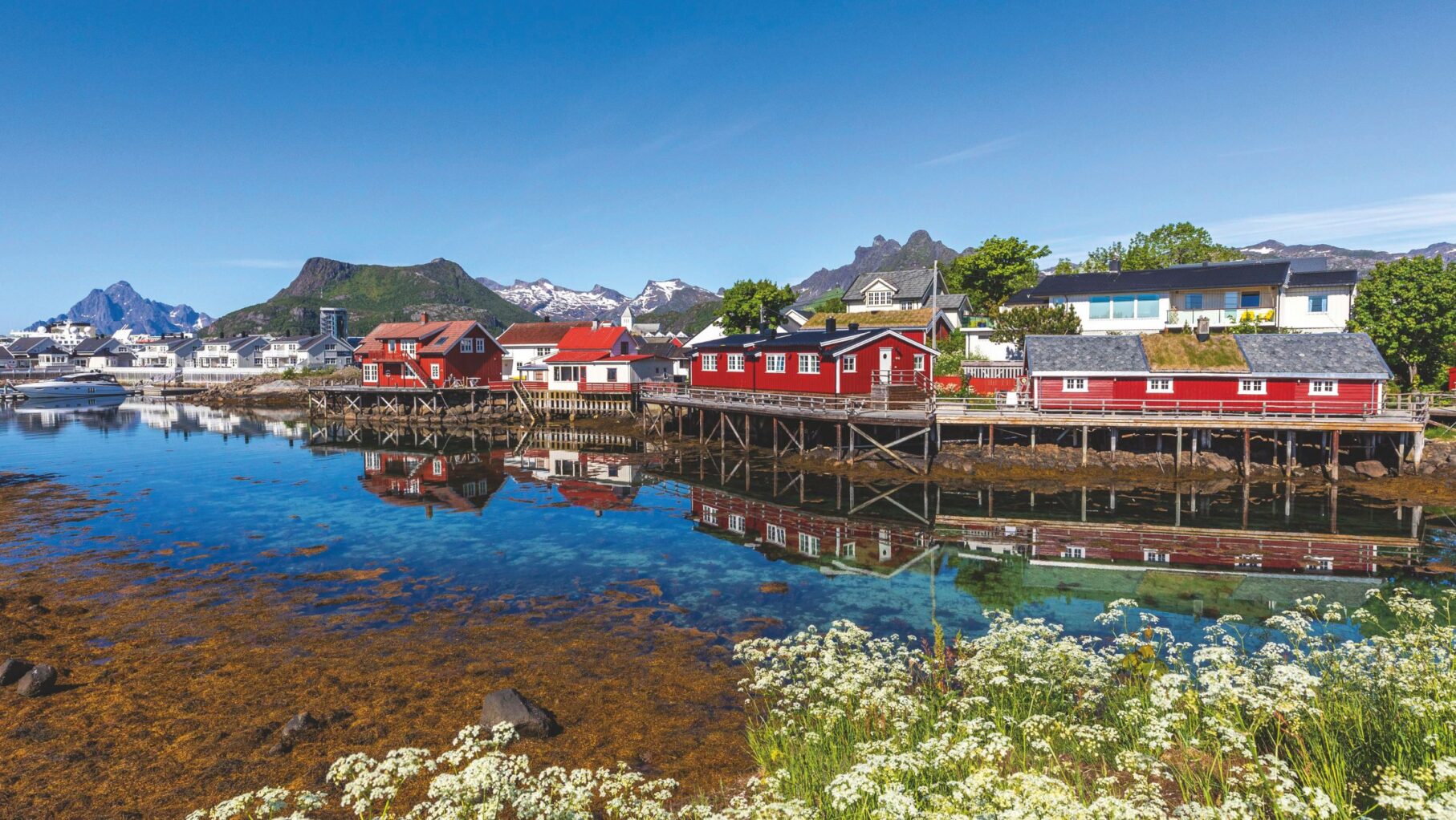 The colourful houses in Lofoten Islands