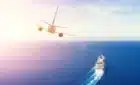 Fly cruising