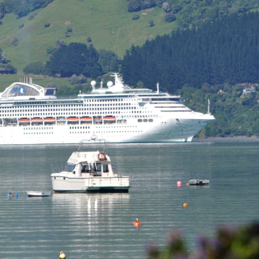 A cruise ship sails across a NZ landscape.