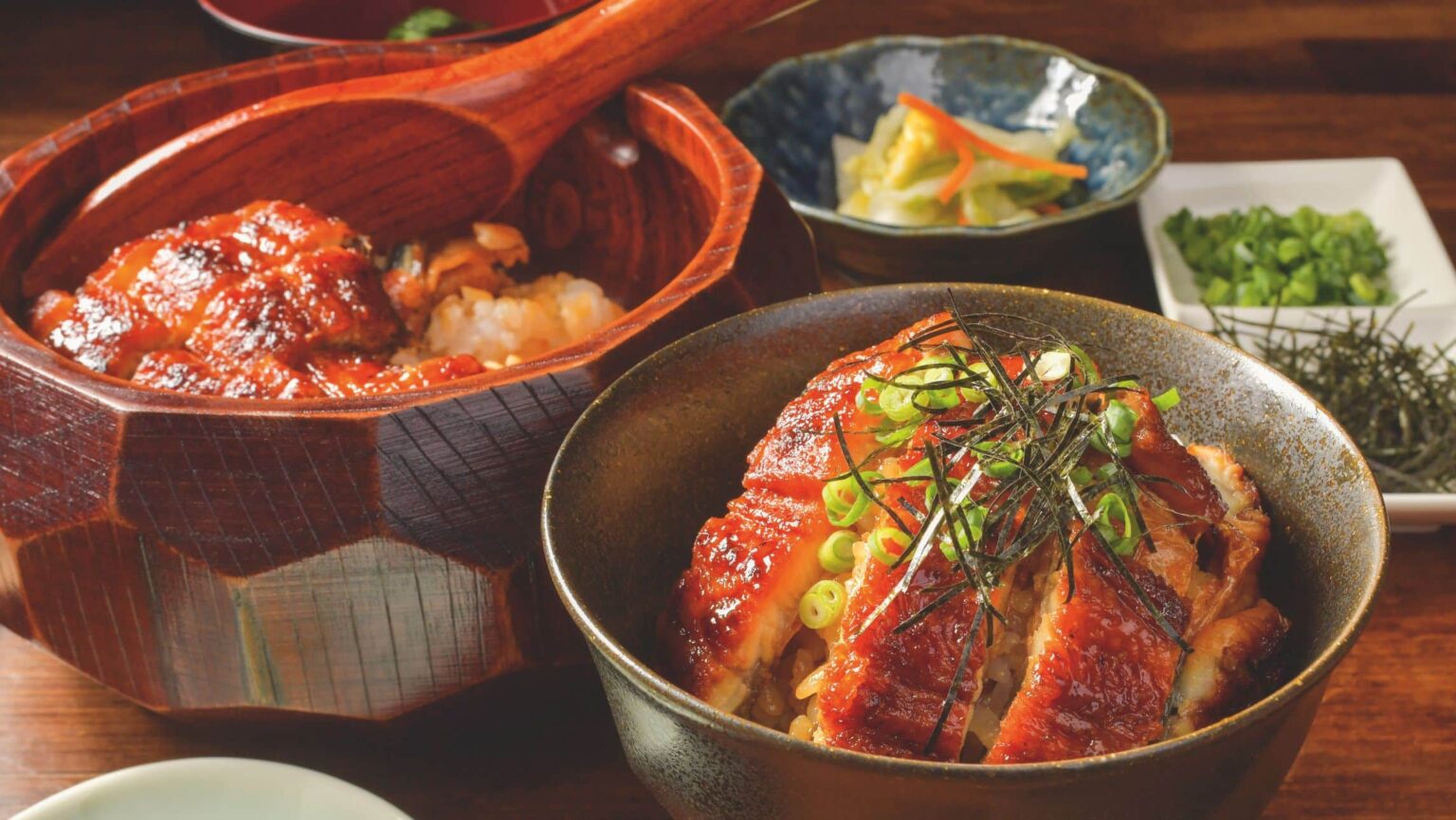Japanese eel and rice in a bowl