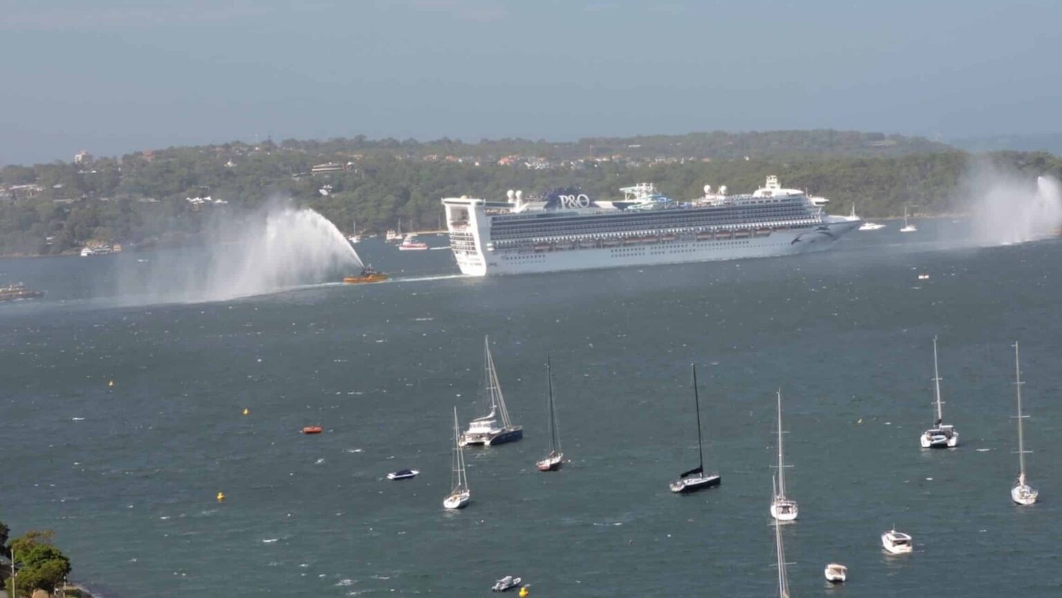 P&O in Sydney Harbour
