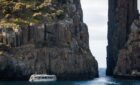 main feature pic in Tassie