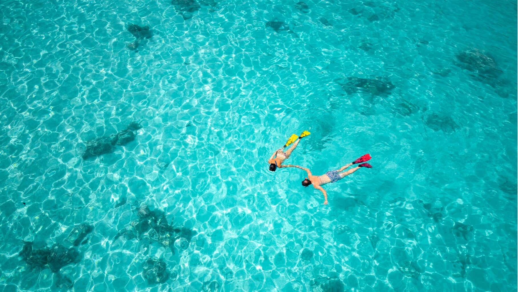 a couple snorkels in French Polynesia