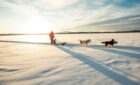 Lapland Christmas