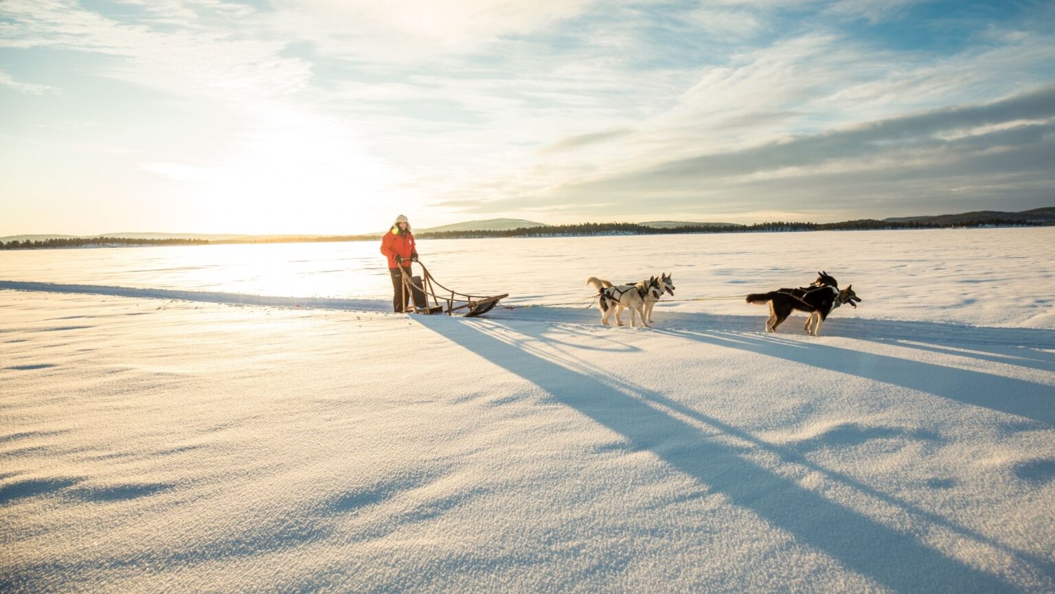Lapland Christmas