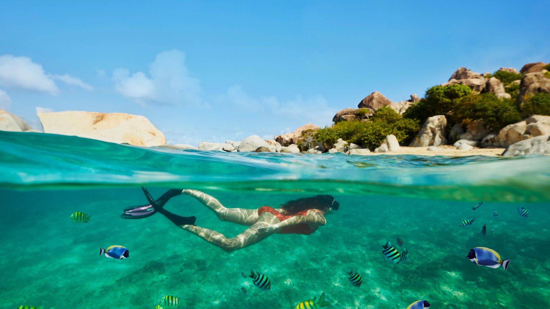 a woman snorkels in the Caribbean 