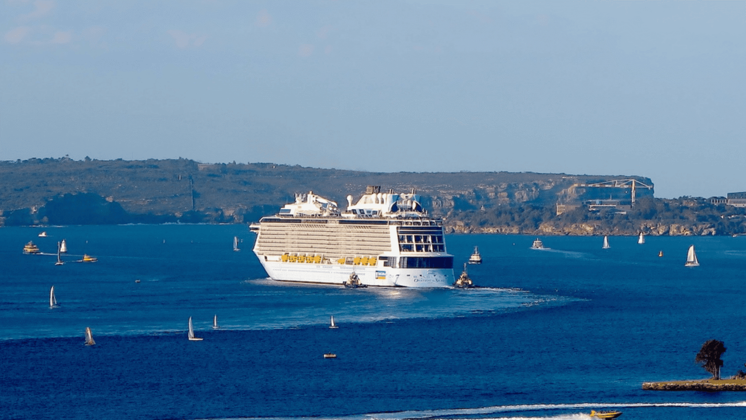 Ovation of the Seas in Sydney Harbour