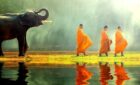 Thailand monks