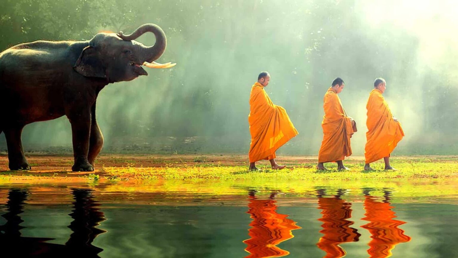 Thailand monks
