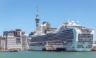 Auckland cruise ship
