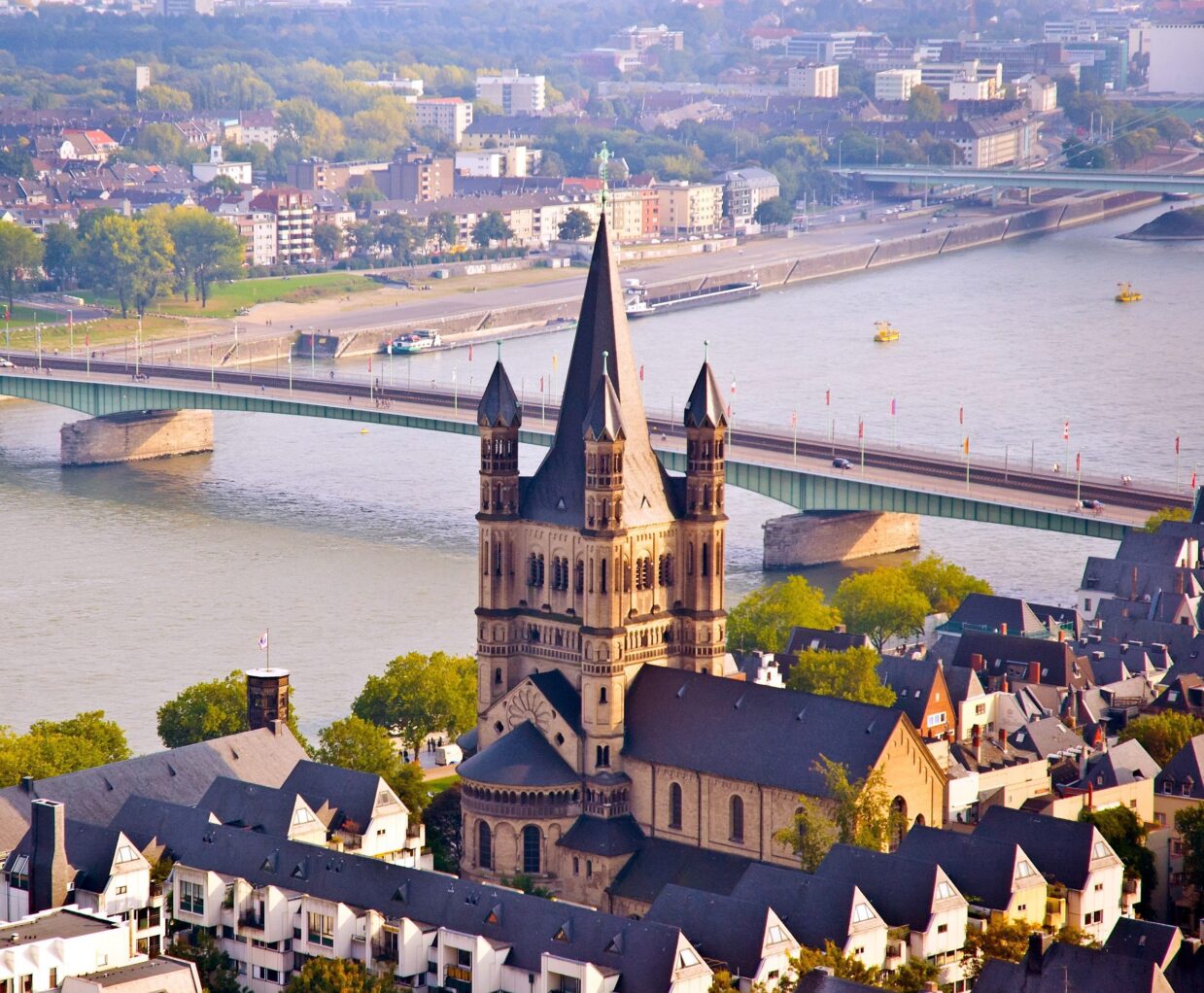 Cologne 115334956 SS