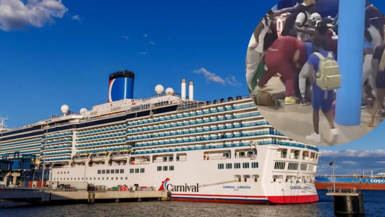 cruise ship + brawl