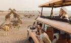 woman and her family in a safari vehicle looking at giraffes