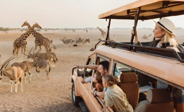woman and her family in a safari vehicle looking at giraffes
