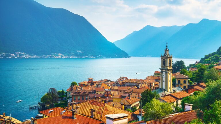 the med feature image