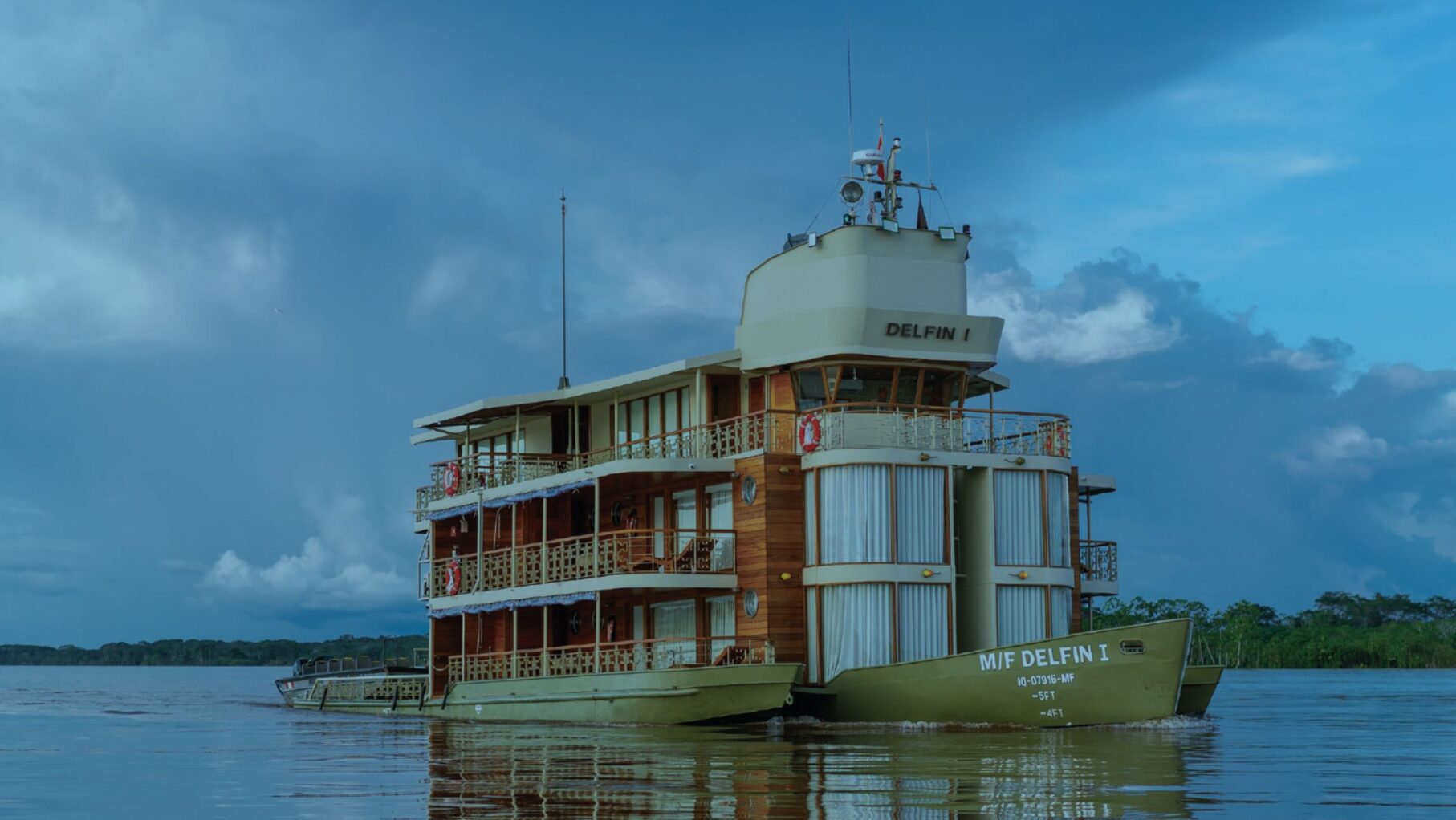 Delphin 1 image