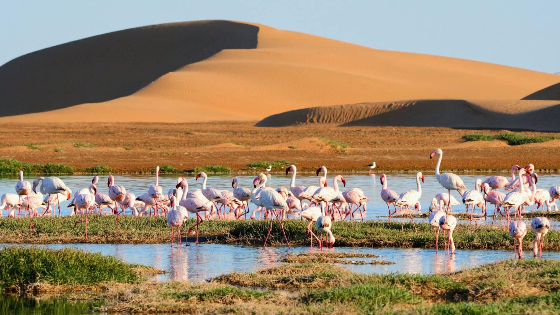 Walvis Bay