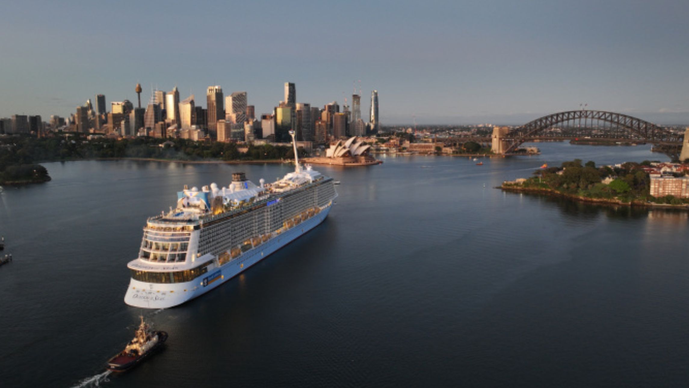 sydney harbour with a cruise ship