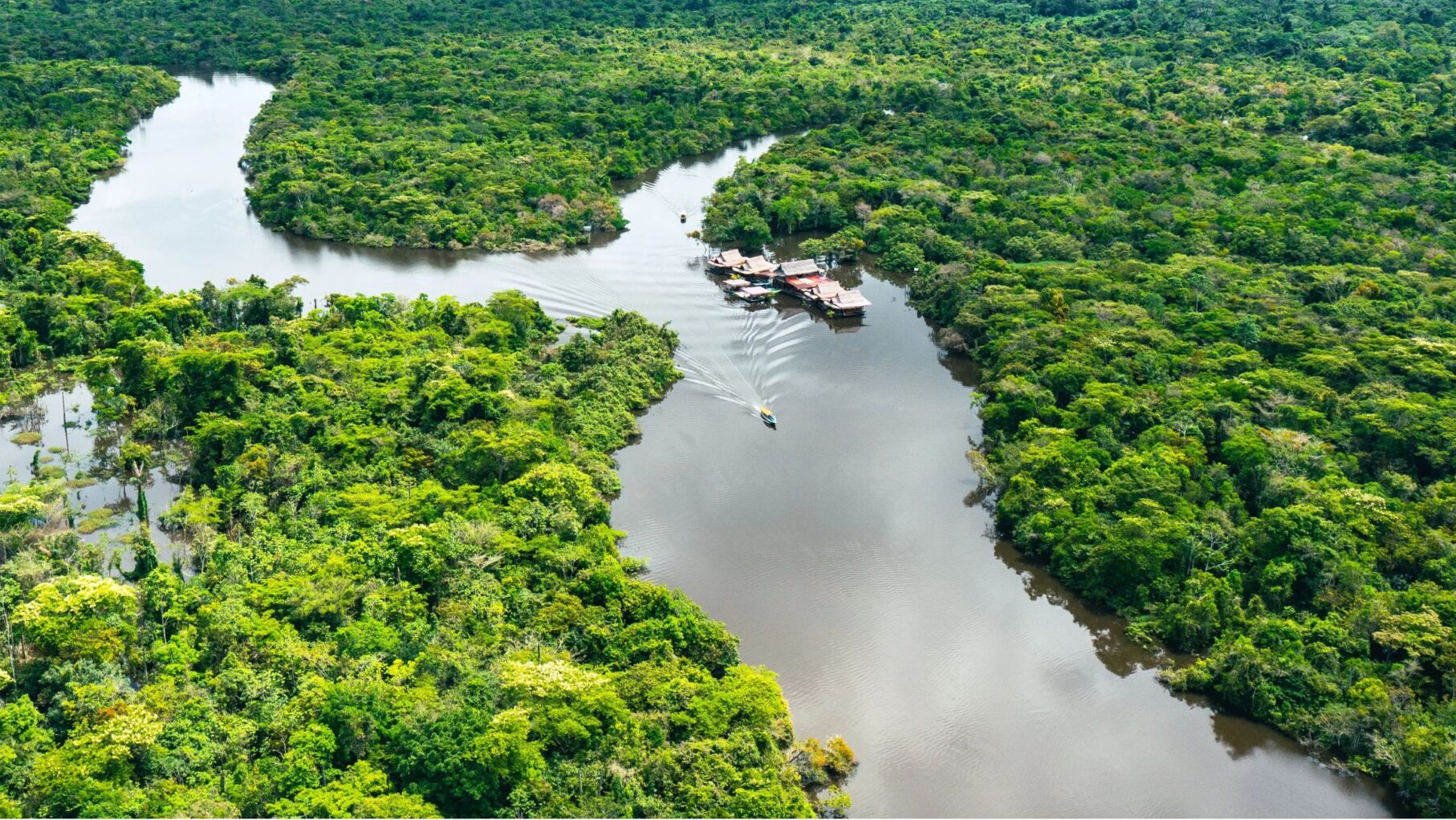 Peruvian Amazon with A&K
