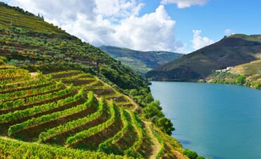 Douro Valley Portugal