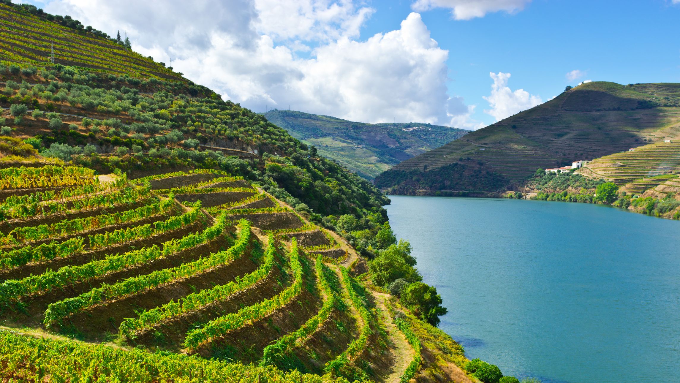 Douro Valley Portugal