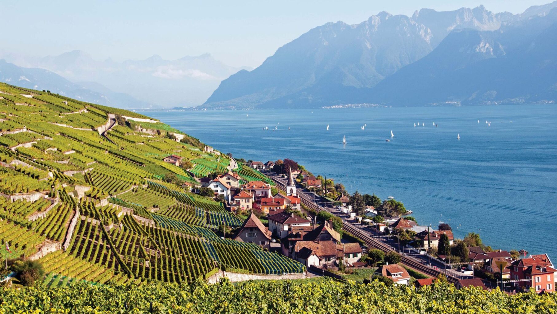 Lavaux Vineyards