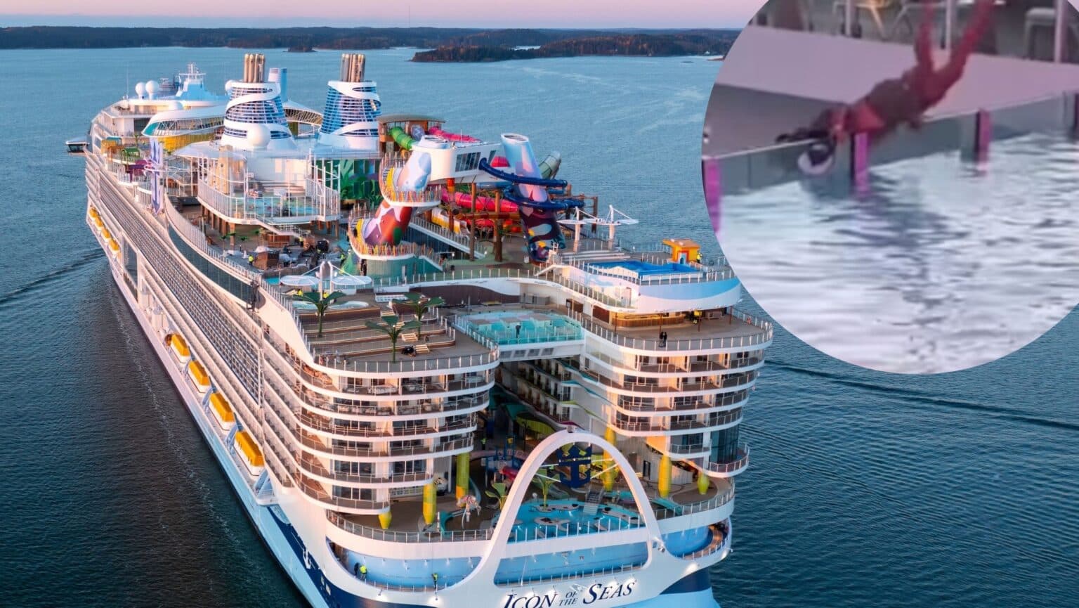 cruise ship fall on Icon of the Seas