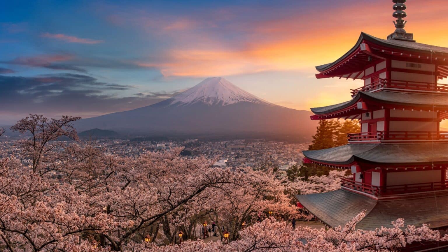 Cherry blossoms with Mount Fuji backdrop