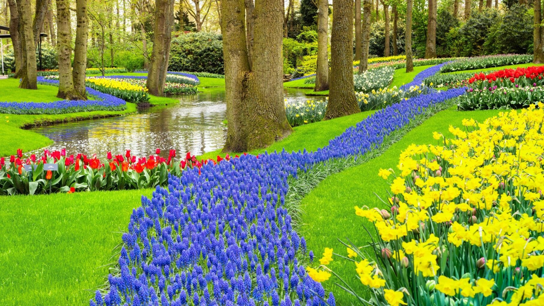 Keukenhof Gardens