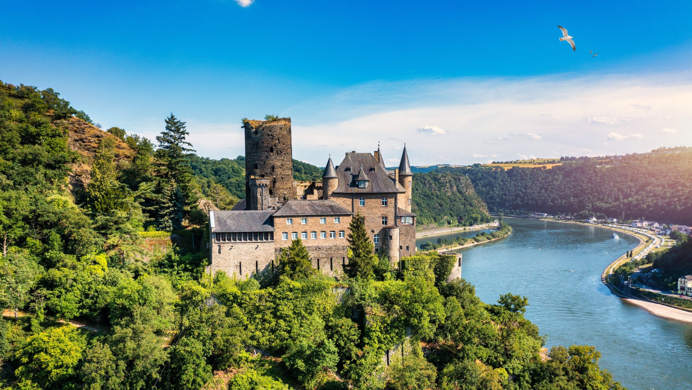 Rhine Gorge Castle