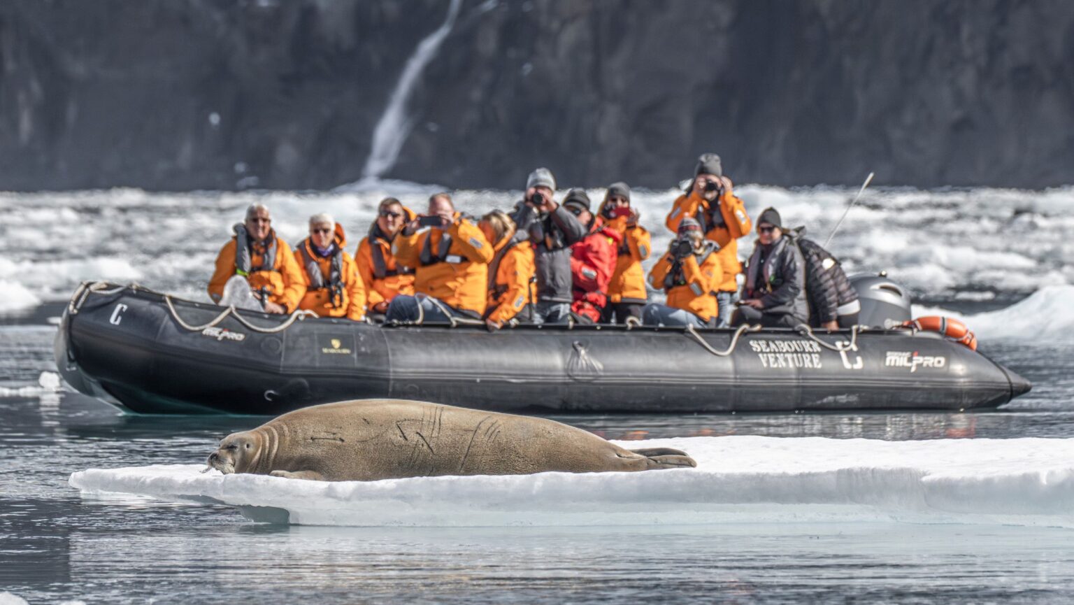 Seabourn Venture expedition with seal