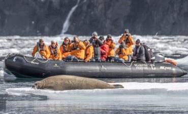 Seabourn Venture expedition with seal