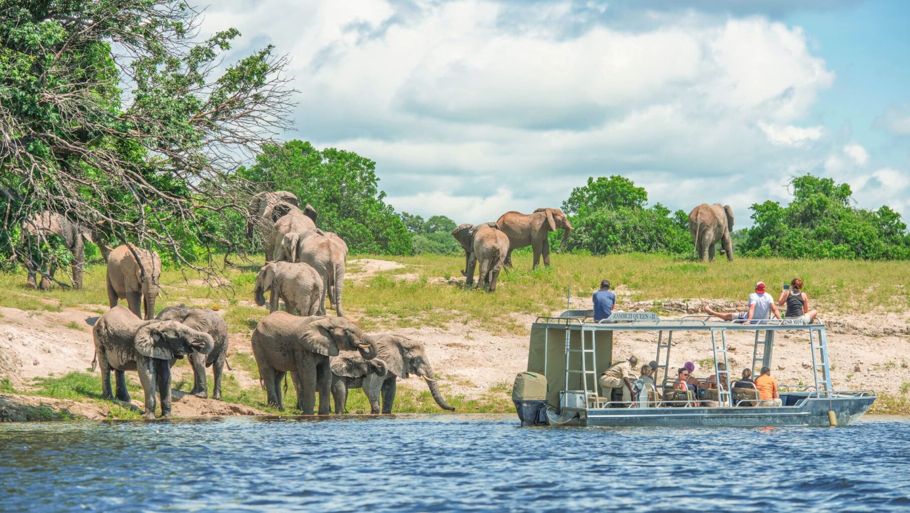africa amawaterways elephants