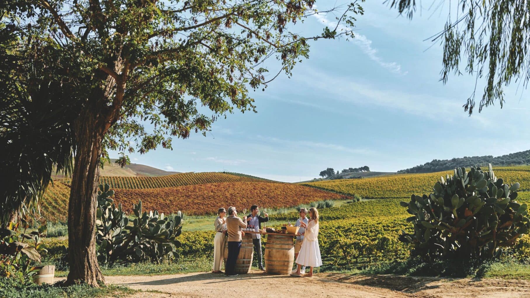 Vineyard visits