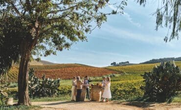 Silversea on a Vineyard visit