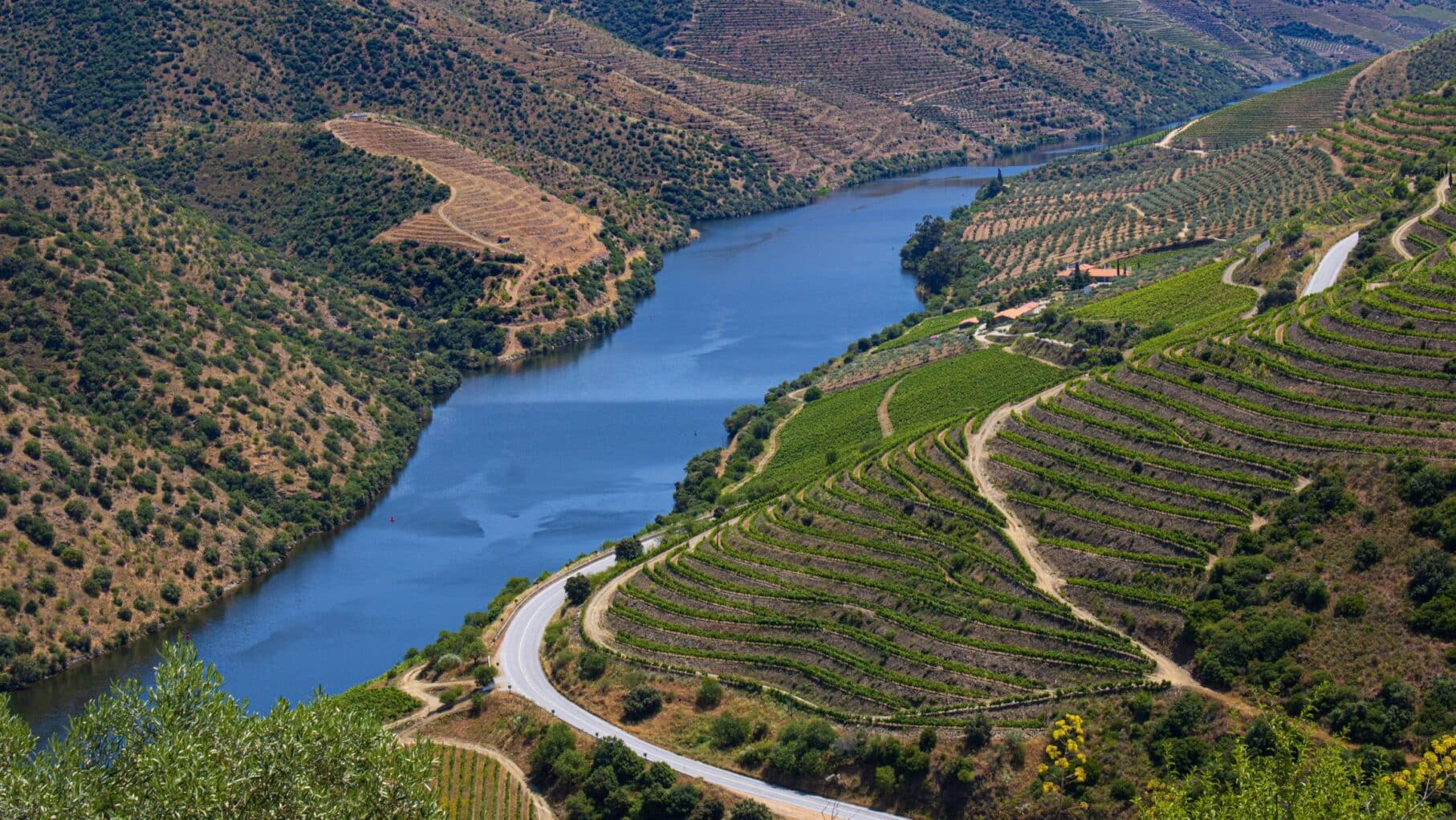 Douro River
