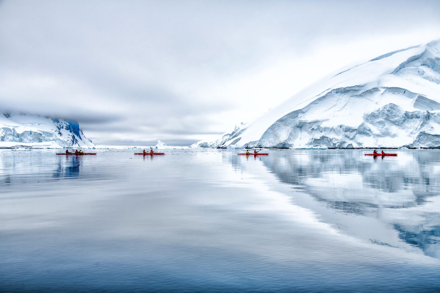 Kayak Exploration Canal Lemaire2 Antarctique©StudioPONANT Clement Louineau