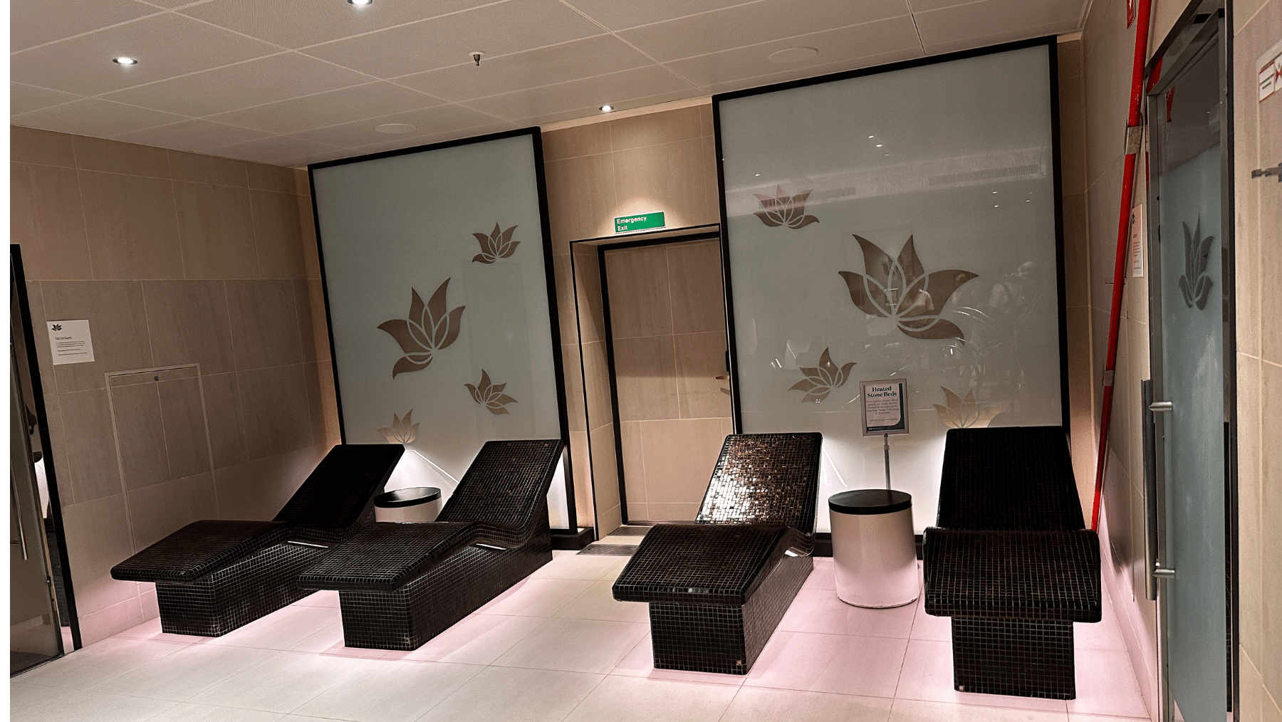 Discovery Princess review