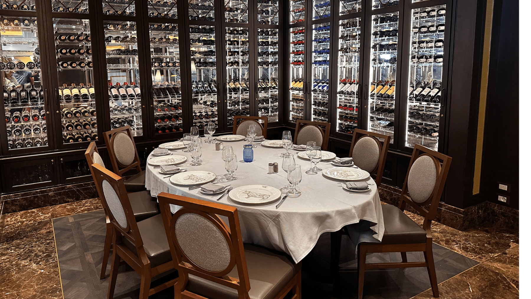 Discovery Princess review