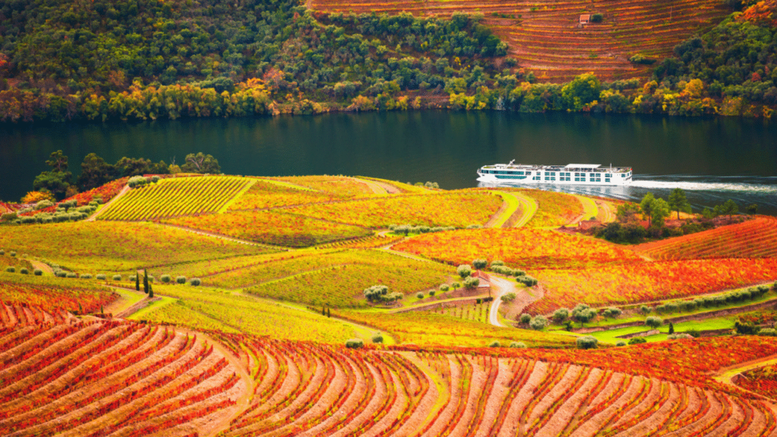 Douro Oporto City