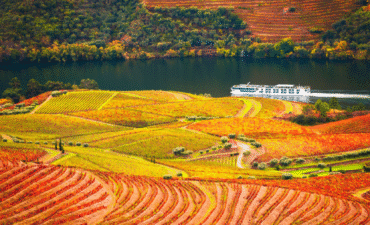 Douro Oporto City