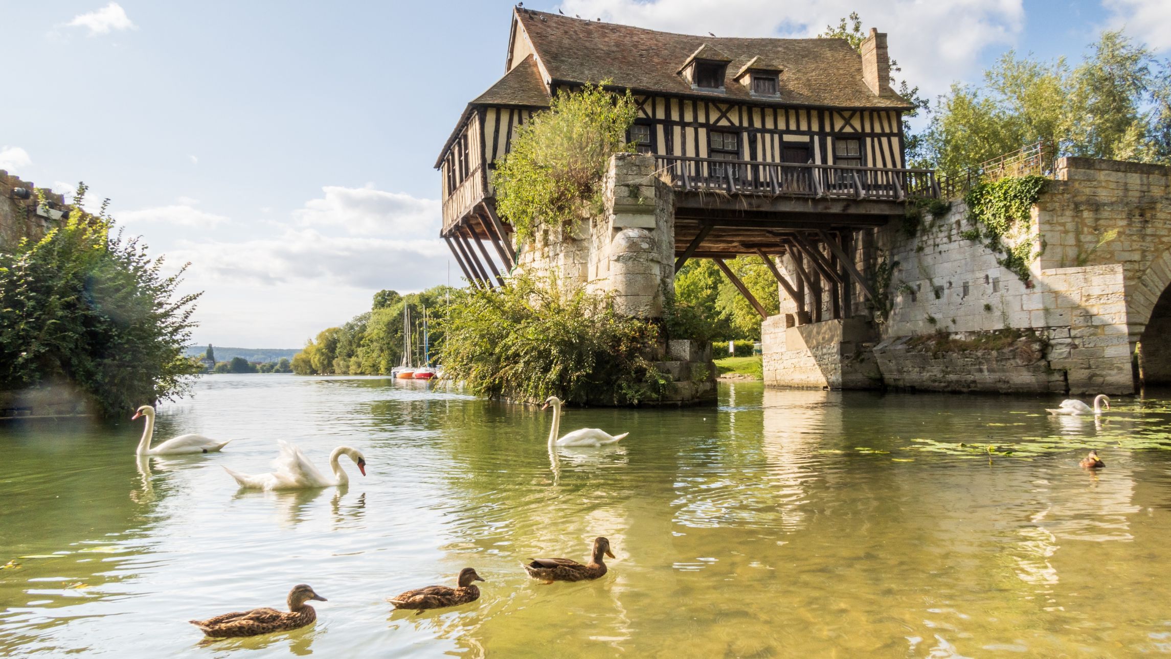 Swans and ducks swimming in front of the beautiful old mill on the broken bridge over Seine river in Vernon, Normandy, France