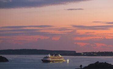 Disney Wonder on sydney harbour at sunset
