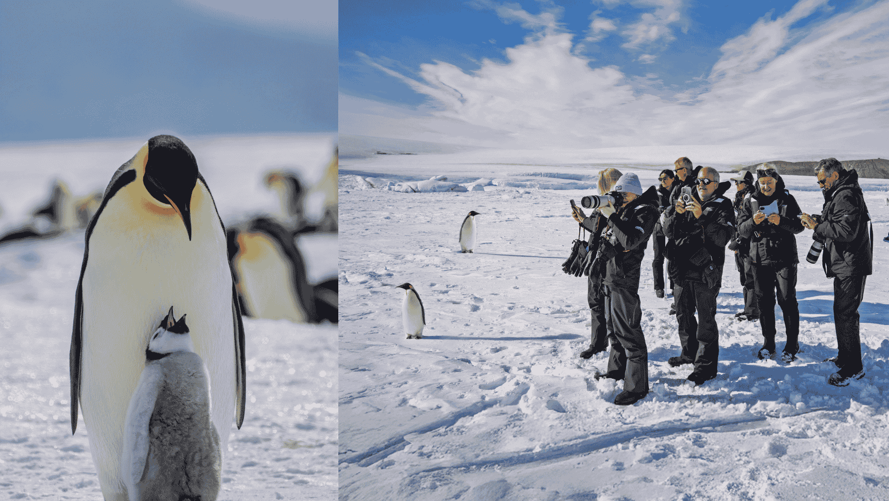 Scenic Eclipse at James Island, Antarctica