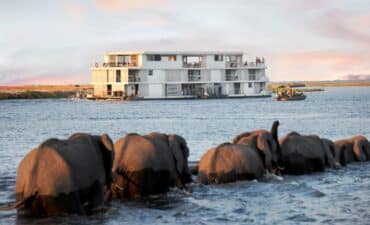 Zambezi Queen safari with AmaWaterways