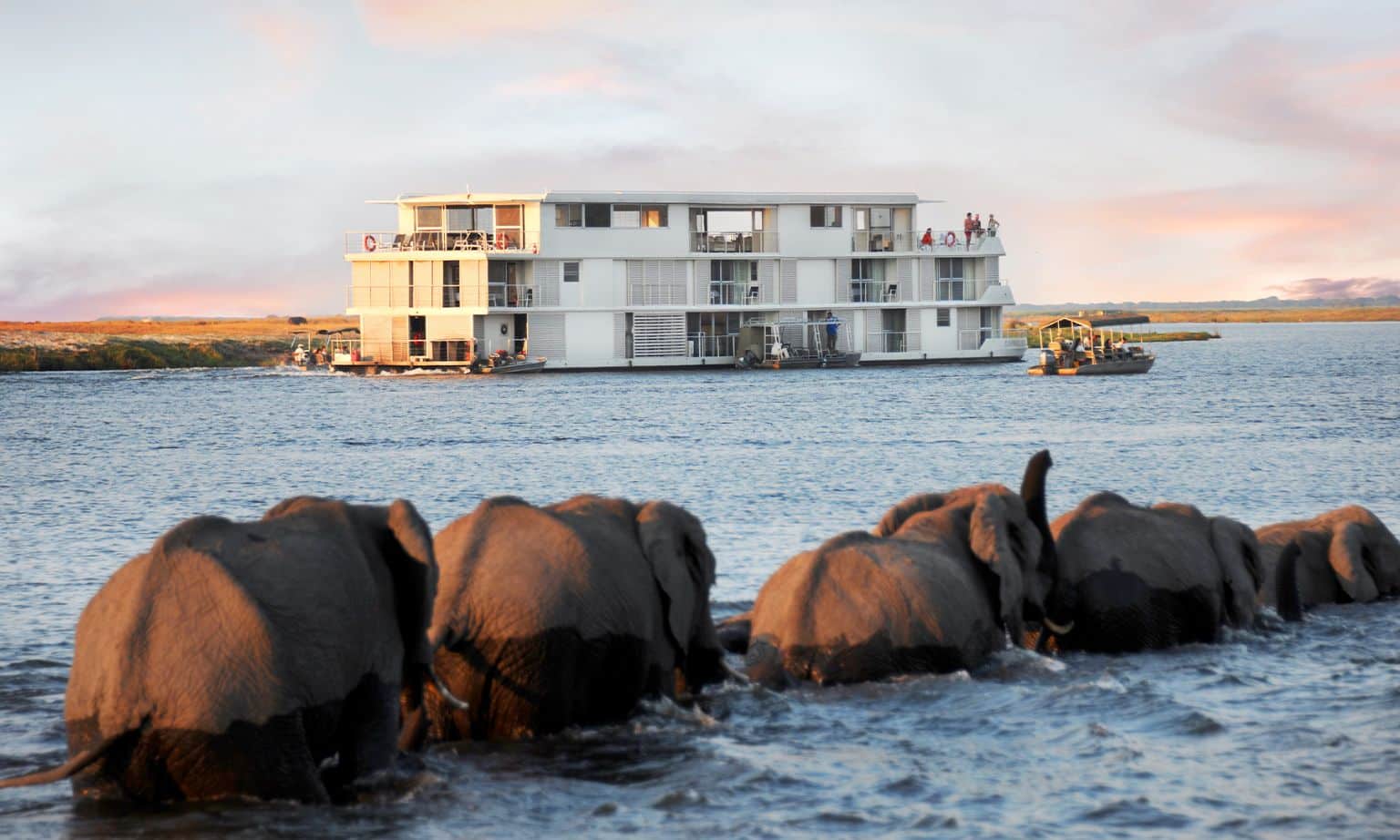 Zambezi Queen safari with AmaWaterways
