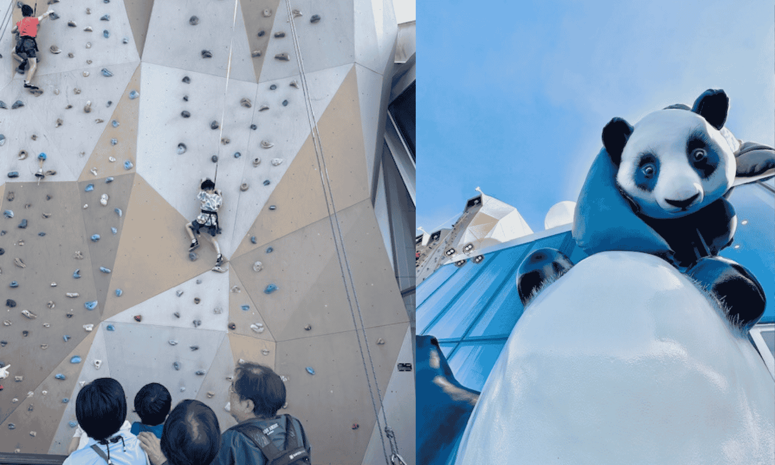 Ovations of the Seas